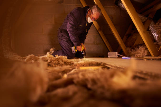 Best Insulation Maintenance and Repair in Derma, MS